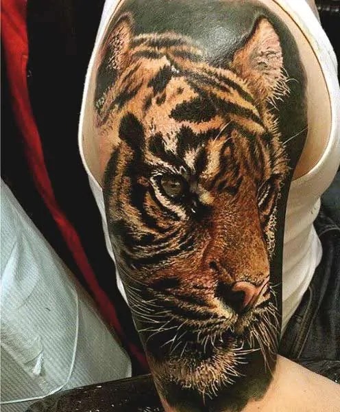 Tiger Tattoo Design Ideas Meanings Complete Guide Beautyhacks4all