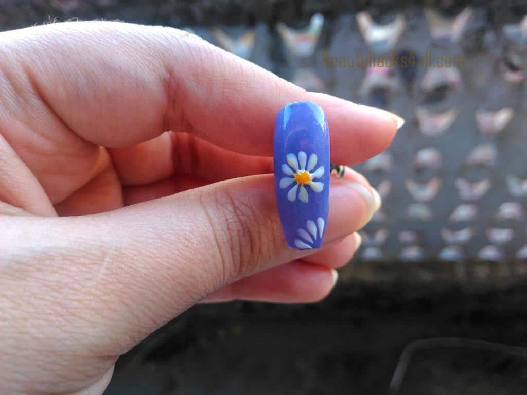 Daisy nails flower design